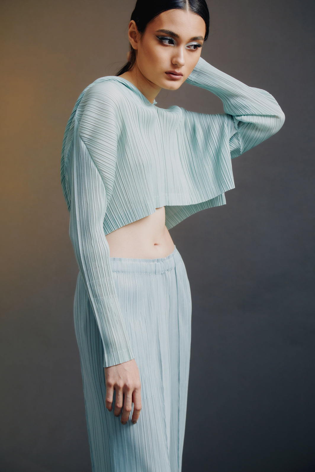 Santee Hoodie Croptop